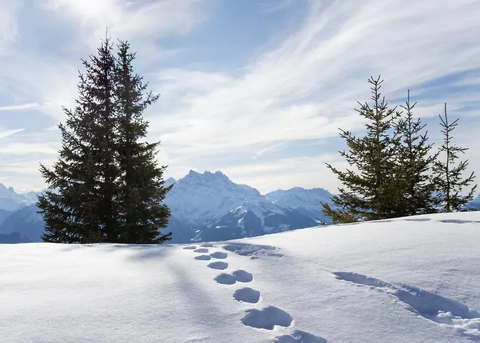 Gamat 30 By Interhome *